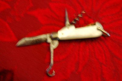 mini 015.jpg