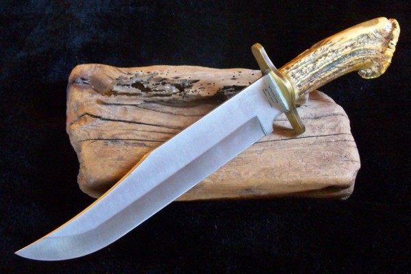 Stag  Parker-Edwards Bowie.JPG