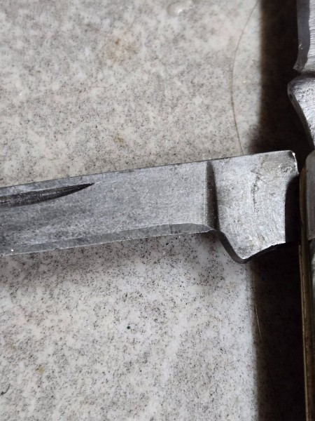 1000004953.jpg