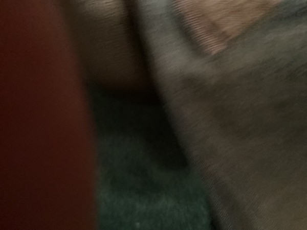 IMG_7138.jpeg