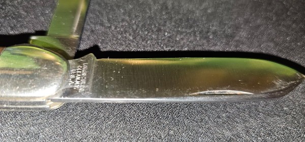 1000020972.jpg