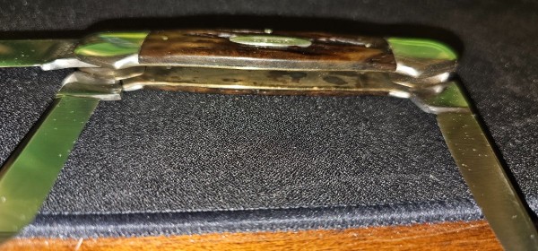 1000020974.jpg