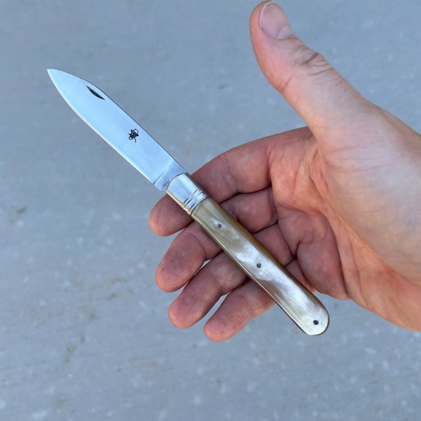 IMG_9817.jpeg