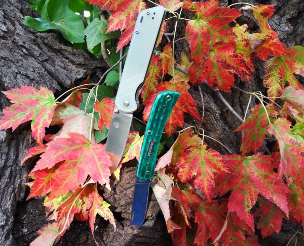 QSP & Case autumn trail shot.jpg