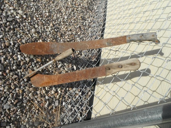 DSCF0018.JPG