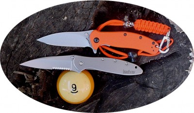 Kershaw Zing &amp; Leek