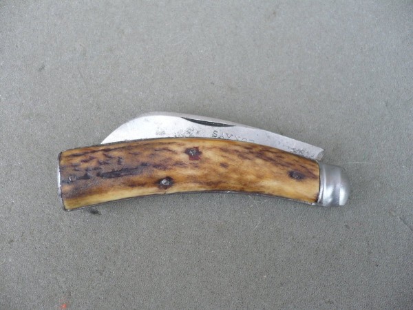 saynor1.jpg