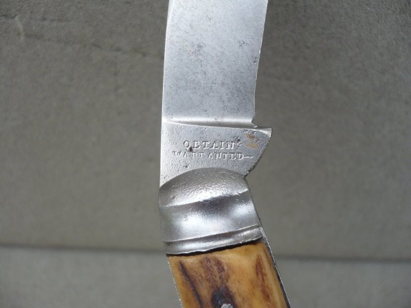 saynor5.jpg