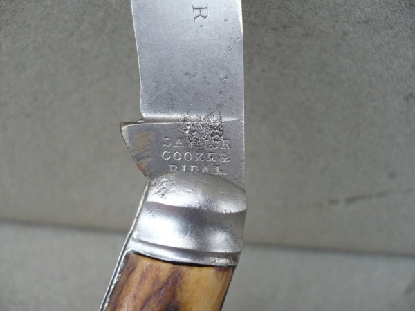 saynor6.jpg