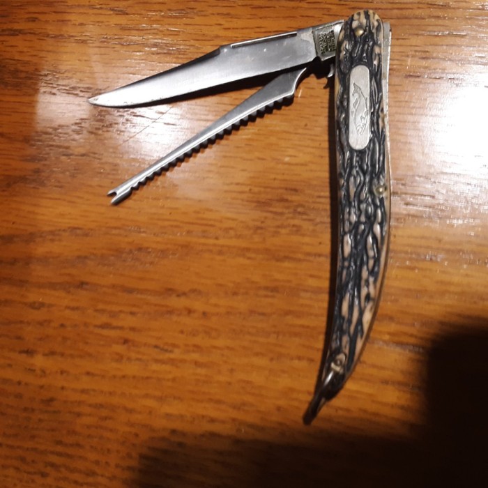 20250216_122647.jpg