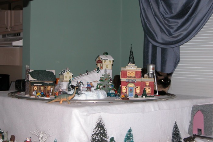 Img2577.JPG