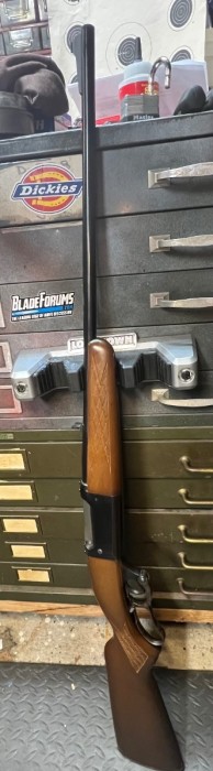 IMG_7933.jpeg
