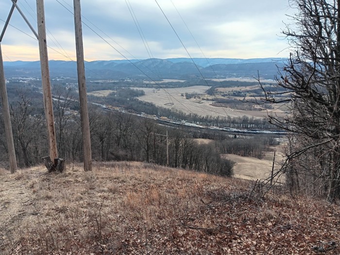 1000034096.jpg