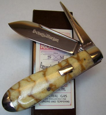 Tiger Coral S&M HJ 1 of 1 front.JPG
