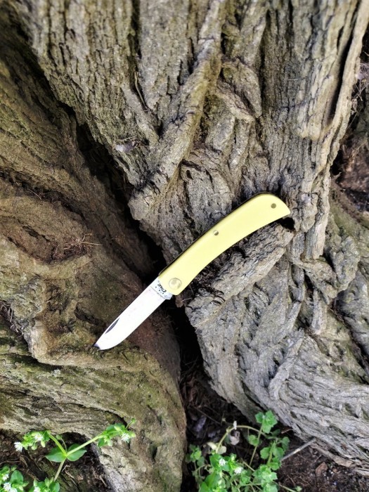 Soddie Jr trail shot.jpg
