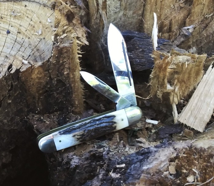Camillus 23 stumped.2jpg.jpg
