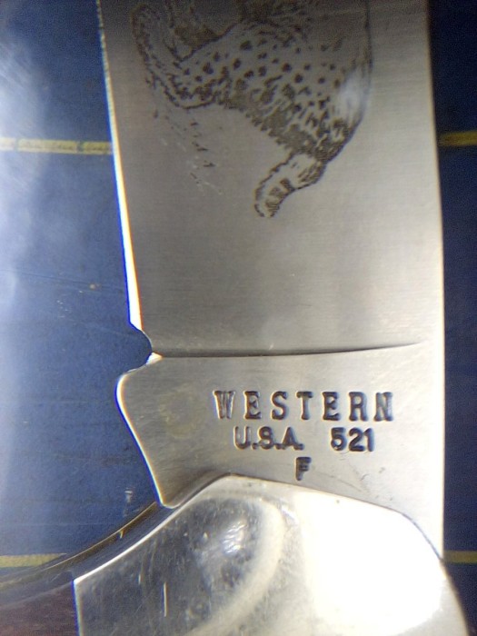 IMG_20250402_120100.jpg