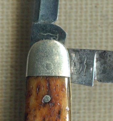 hessenbruch bear.jpg