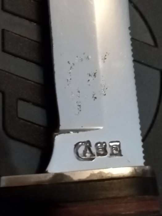 Real or fake?