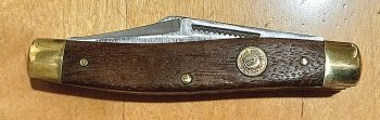 20250413_220945.jpg