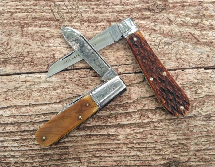 KIMG8250~2.JPG