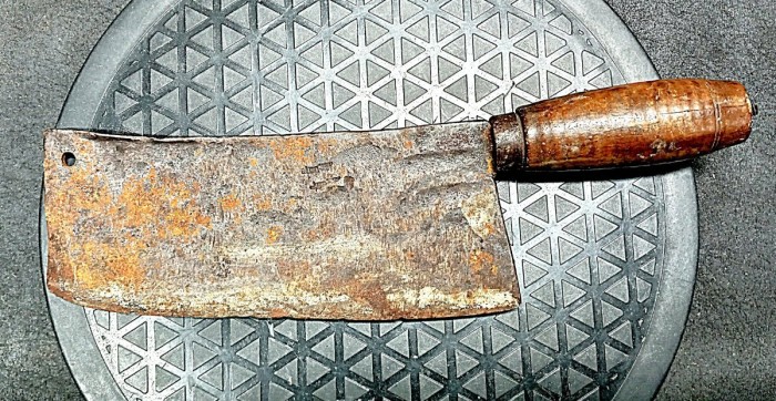 20250419_101450.jpg