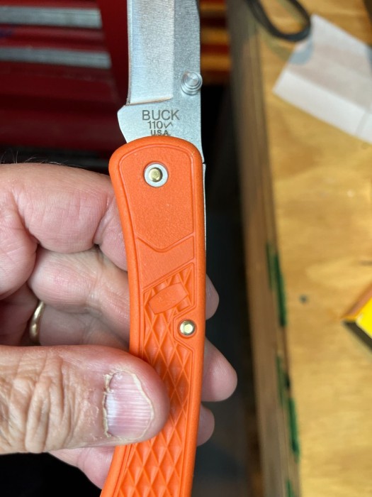 fake buck.jpg