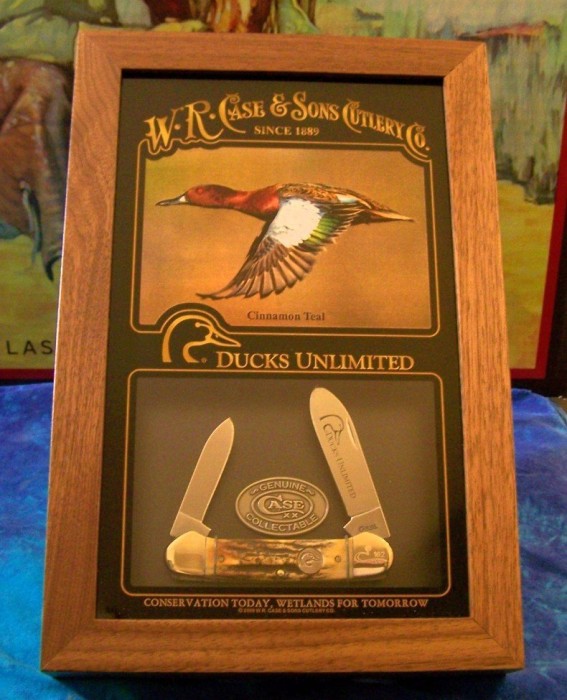 Stag DU Canoe Display 2009.JPG