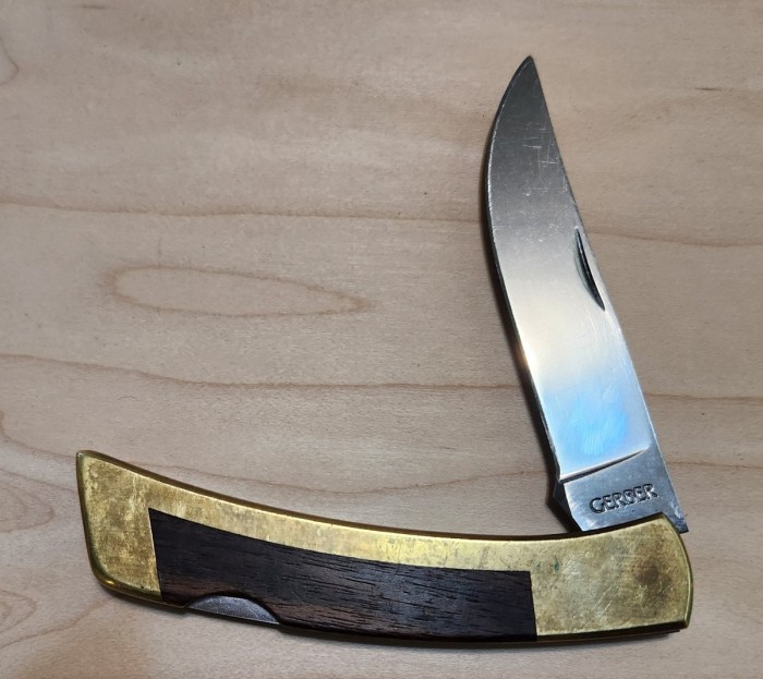 Gerber FS 2.jpg