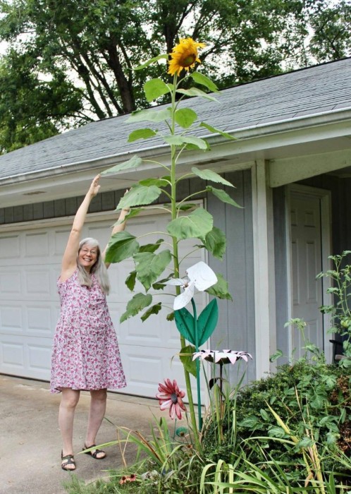 Dana Sunflower.jpg