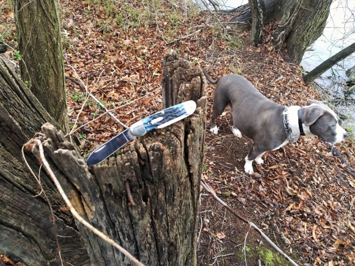 Trey & Blue Canoe by the creek.jpg