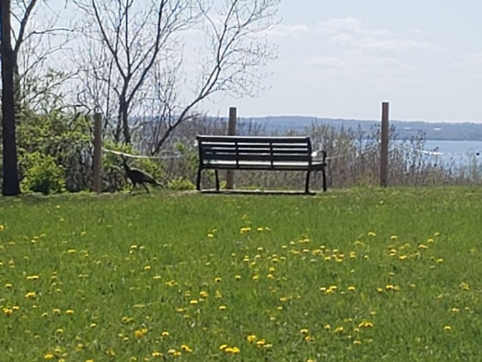 20250506_145503.jpg
