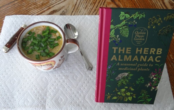 Garlic Chives, soup, and book