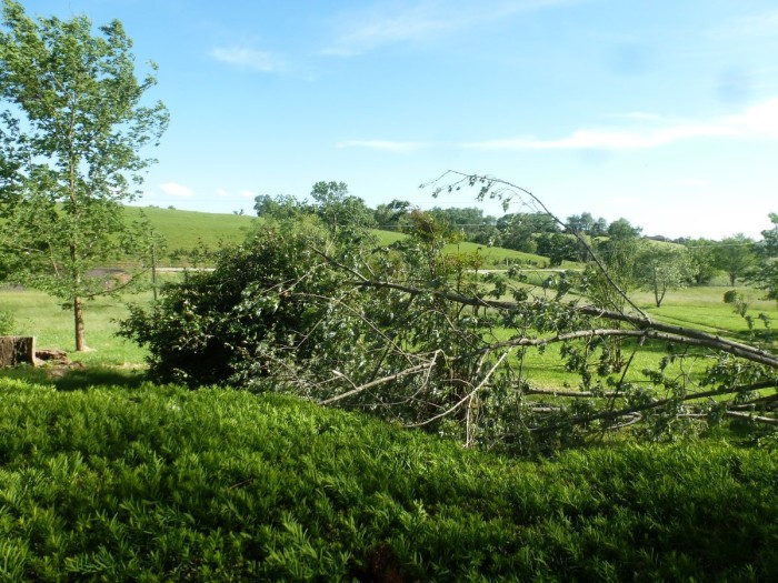 P1050646.JPG