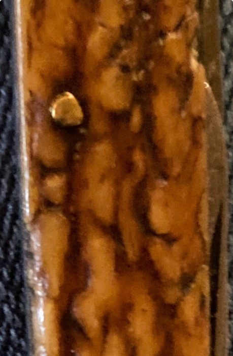 Close up of what I believe pressed bone looks like