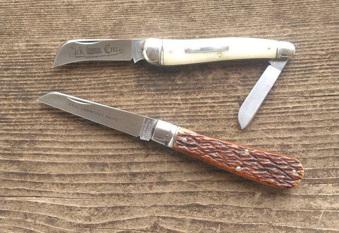 KIMG7357~2.JPG