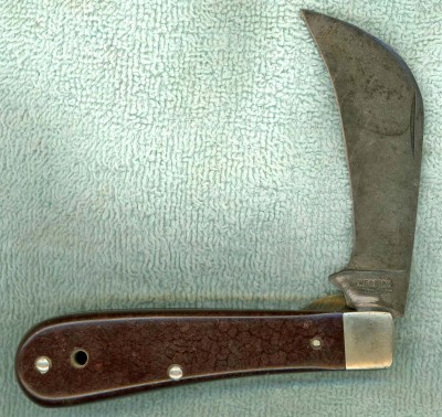 Western Hawkbill mark side.jpg