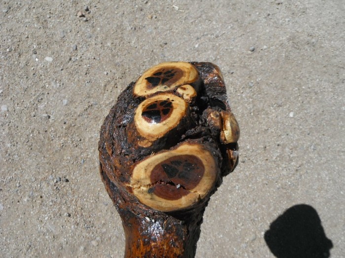 DSCF0780.JPG