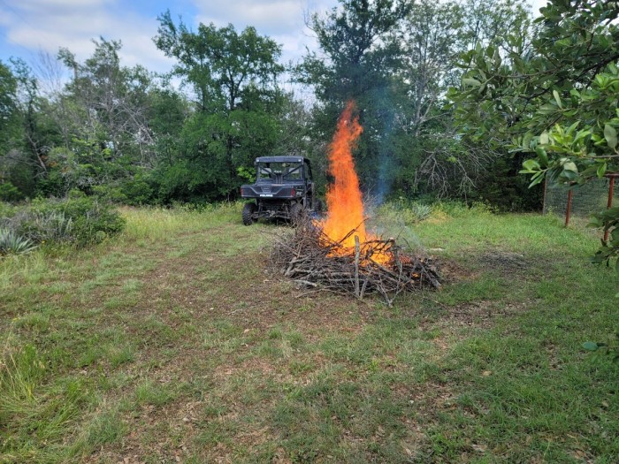A couple of loads burning.  I think I hauled around 8 loads of brush.