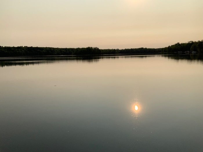IMG_2991.jpeg