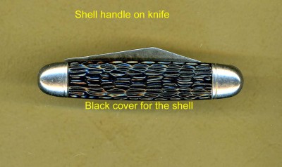 Imperial Hammer Brand - b- with shell intact.jpg
