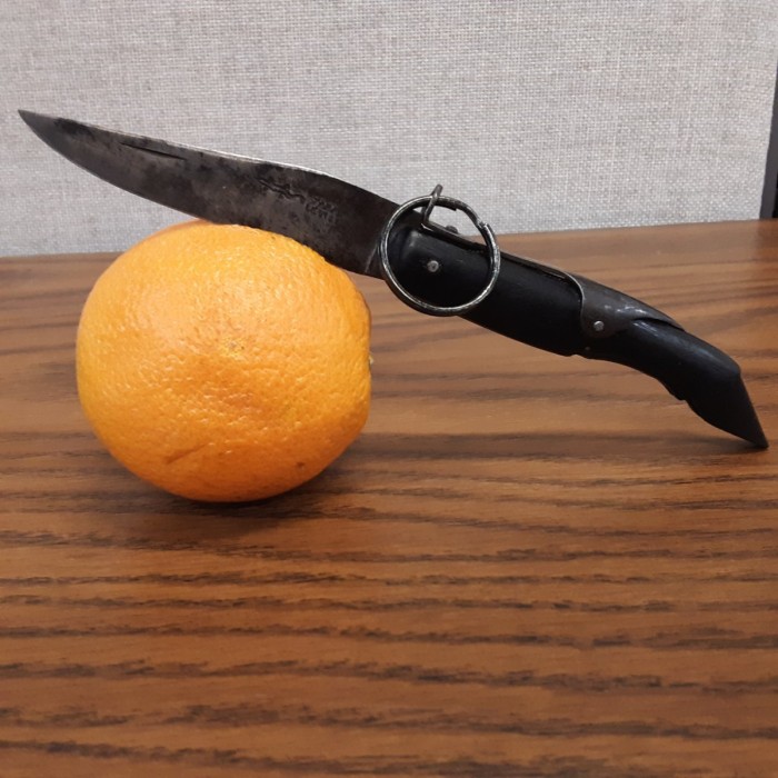 20230321_085803.jpg