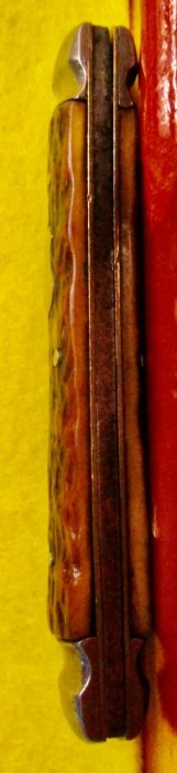 IMG_3143.JPG