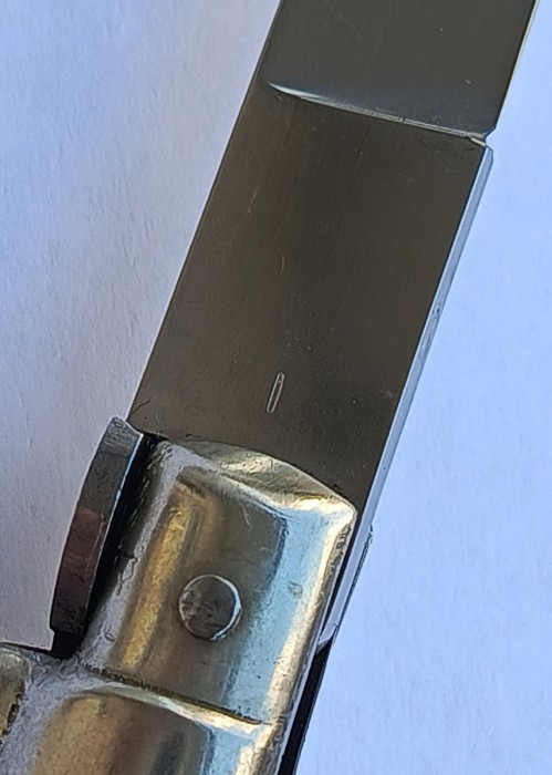 1000045609.jpg