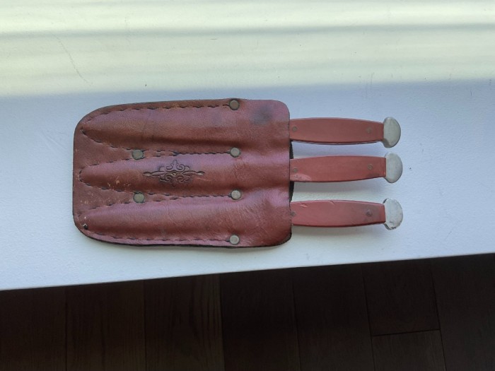 PIC Throwing Knives in Sheath.jpg