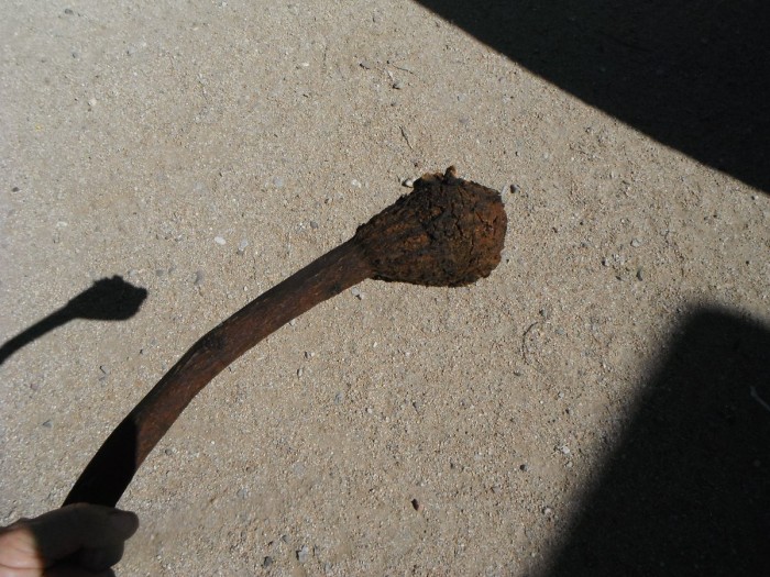 DSCF1045.JPG