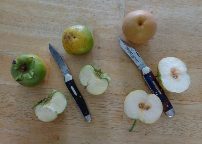GEC 54 and 38