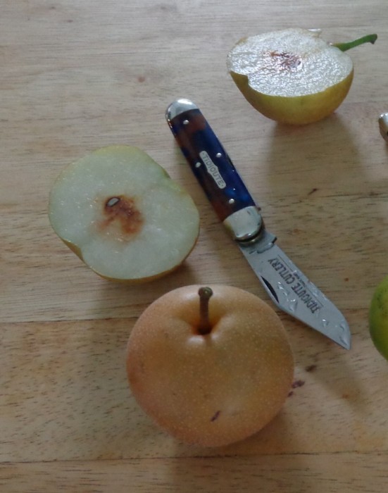 Pears