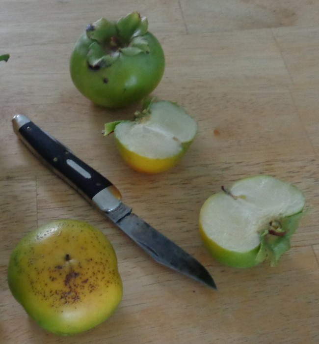 Persimmons
