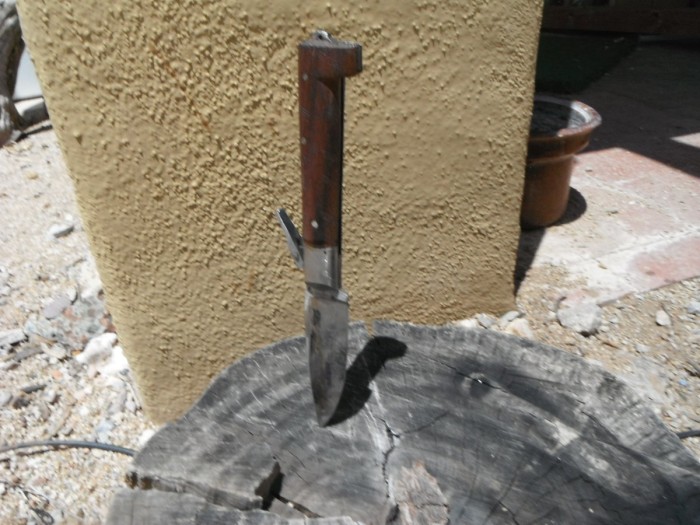 DSCF1224.JPG